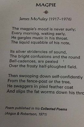 A magpie poem, by James McAuley.