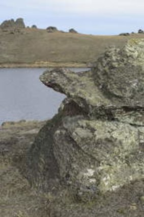 SIMULACRUM CORNER ... Donald Duck Rock at Manorburn Lake, in New Zealand.