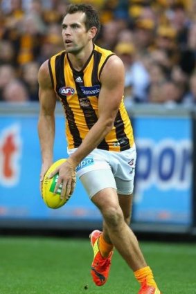 Luke Hodge is hoping to mark his 250th game with a third Hawthorn premiership.