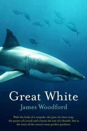 Great White, by James Woodford.