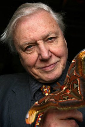 Unrivalled: Sir David Attenborough.