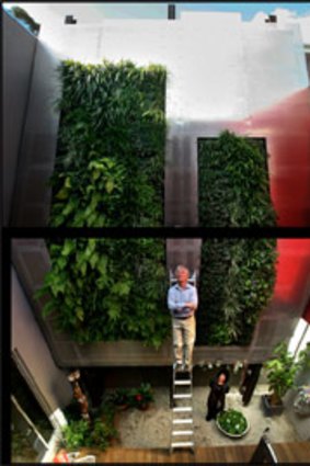Mike Morris and Christine Berry in front of their vertical garden in Richmond.
