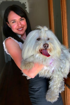 Britt Smith, with her Tibetan terrier, Bear, launched dogtree for dog owners seeking companionship for their pooches.
