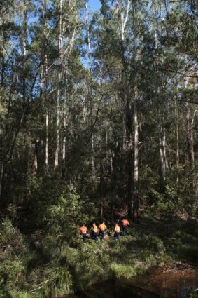 Police continue their search  for the remains of Prue Bird yesterday.
