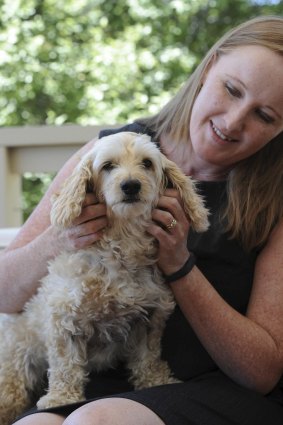 Jenny Dawson, of Banks, at home this week with Miley, one of nine dogs injured or burnt at salons owned by former Canberra dog groomer Lance Baker. Miley is still not 100 per cent and cannot go for long walks.