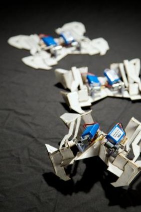 Inspired by the traditional Japanese art form of Origami or "folding paper," researchers have developed a way to coax flat sheets of composite materials to self-fold into complex robots.