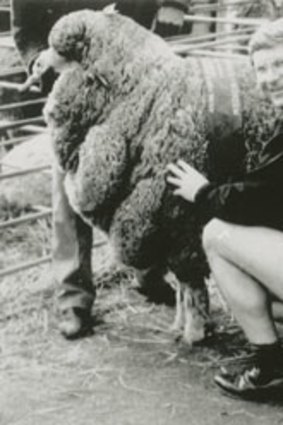 Denis Napthine, in his younger days, poses in woolen underwear made by a company in his electorate.