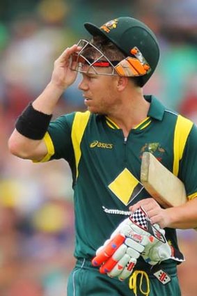 Still in with a shout: David Warner remains captain material in spite of his recent outburst.