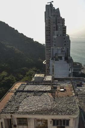''Horrific'' &#8230; shark fins drying in the sun on the roof of a factory building on Hong Kong Island.