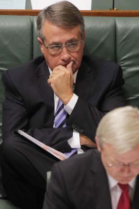 In the spotlight . . . Wayne Swan in question time yesterday.