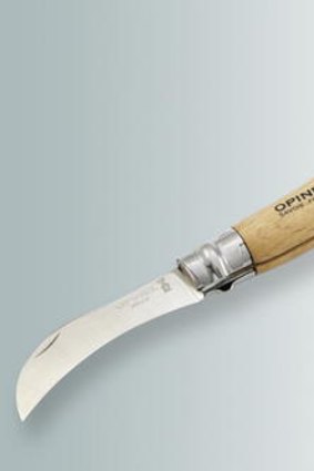 Opinal mushroon knife.