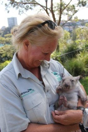 Surrogate mum: Zookeeper Evelyn Weston