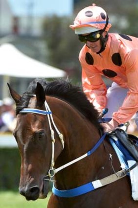 Back to work ... Black Caviar showed she was on track for a return in the Lightning Stakes with an impressive gallop between races at Caulfield on Saturday.