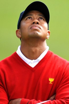 In the genes?  . . . Philanderer Tiger Woods.