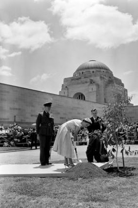 Queen Elizabeth II plants a tree at the Australian War Memorial on 16 February 1954.