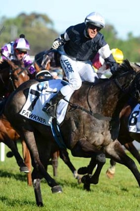 Nicholas Hall guides Fawkner to victory in the Caulfield Cup.