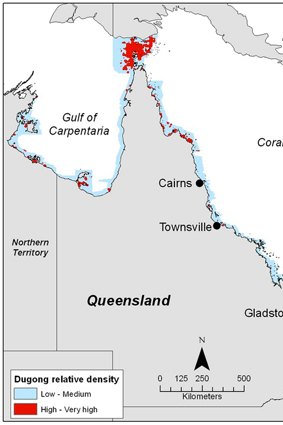 Relative density of dugongs along the coast of Queensland and adjacent Northern Territory waters based on 25 years of JCU aerial surveys.