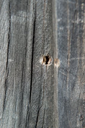 Bullet holes can be seen in the fence of the two homes next door to the mosque.