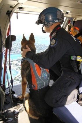 Inspector Rob Harrison said the canines would "give us a smile" when ready to deploy.