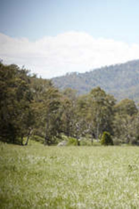 Ranging concerns ... Charlie Lovick's daughter, Kellie, shares her father's passion for the high country.