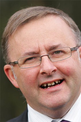 Dolly's saviour ... Anthony Albanese