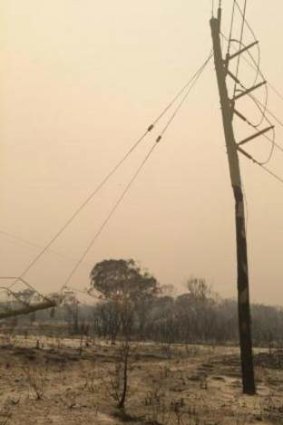 One of the Stradbroke Island power poles that will need to be replaced by Energex.