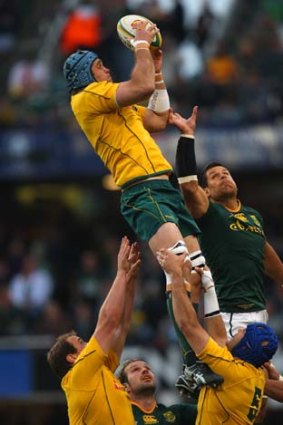 James Horwill (pictured) and Nathan Sharpe dominated the Springboks lineout.