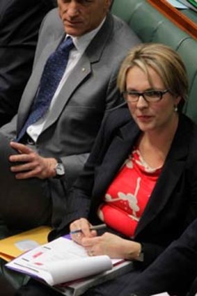 Tanya Plibersek . . . found the comments "very disappointing".