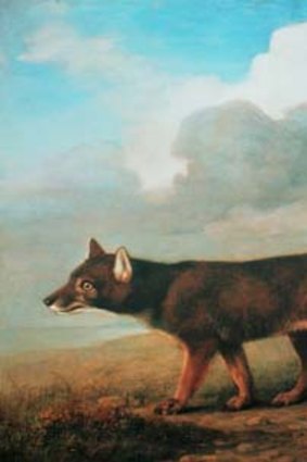 Iconic: Stubbs' <i>Portrait of a Large Dog</i>.