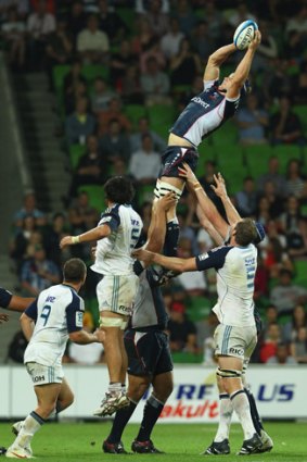 Aiming high... Melbourne Rebels want to recruit a foreign player, despite the ARU's insistence they look locally.