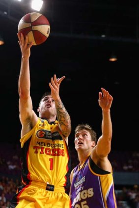 Drive to the basket: Nate Tomlinson scores two of his 14 points for the Tigers in their four-point loss to the Sydney Kings.