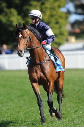 Surroundings make the difference: Brett Prebble aboard last year's cup winner Green Moon.