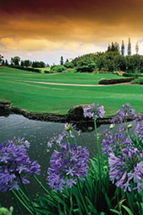 The golf course on Lanai, now under the ownership of Larry Ellison.