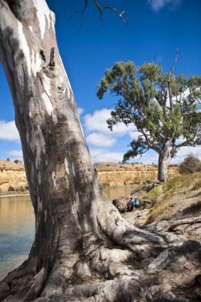 The Murray supports abundant flora and fauna.