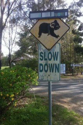 Koala signs are common throughout Petrie.