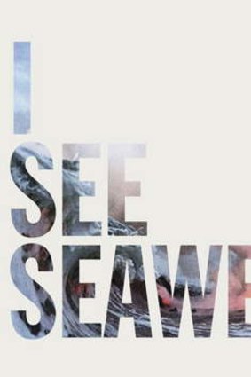 <i>I See Seaweed</i> by The Drones.