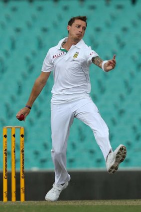 Pitch to match: South Africa's Dale Steyn.