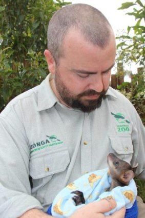 Taronga Zoo education co-ordinator Matt Dea with rescued wallaby joey Alkira. 