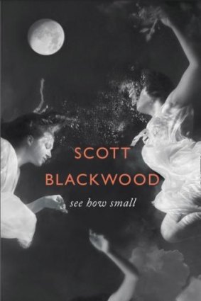 Final and desolating: See How Small by Scott Blackwood.