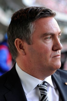 Outraged ... Eddie McGuire rebuked a St Kilda fan who allegedly made derogatory remarks about an Aboriginal Magpies player.