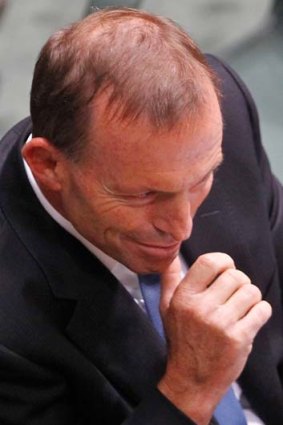 Cheap jibes ... Opposition Leader Tony Abbott.
