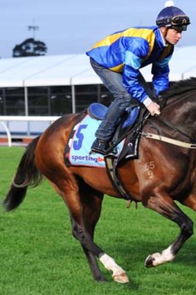 It's A Dundeel will start with the Chipping Norton Stakes on Saturday week, followed by the Ranvet Stakes, BMW and Queen Elizabeth Stakes.
