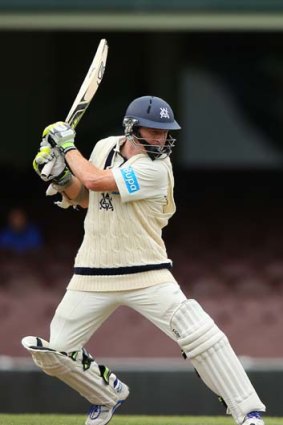 Back in vogue: Chris Rogers in action for Victoria in the Sheffield Shield.