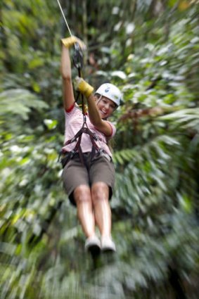 In the extreme: zipwire riding in the forest canopy.