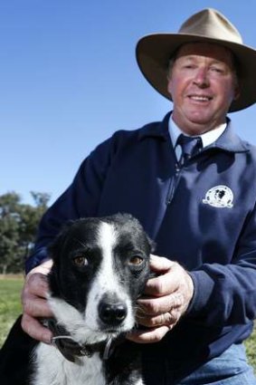 Jim Dodge with his dog Cossie won the National Sheep Dog Trials at the Hall Showground with a final score of 98 and 95.