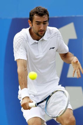 Nine-month ban: Marin Cilic.