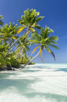 Tropical bliss in the Cocos Islands.