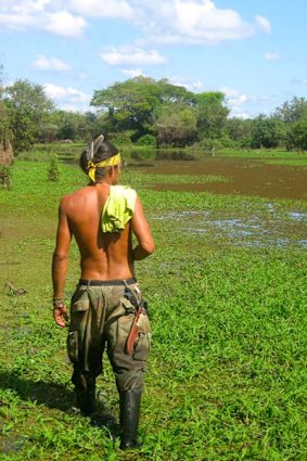 Snake eyes ... Luiz hunts for an anaconda