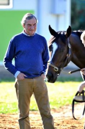 Luca Cumani casts an experienced eye over Mount Athos.