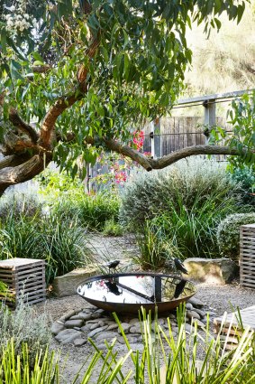 A birdbath is surrounded by native plants in Peter Shaw's Anglesea garden.